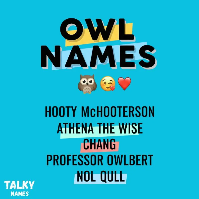 A list of various owl names displayed on a colorful background, showcasing the diversity of owl species.