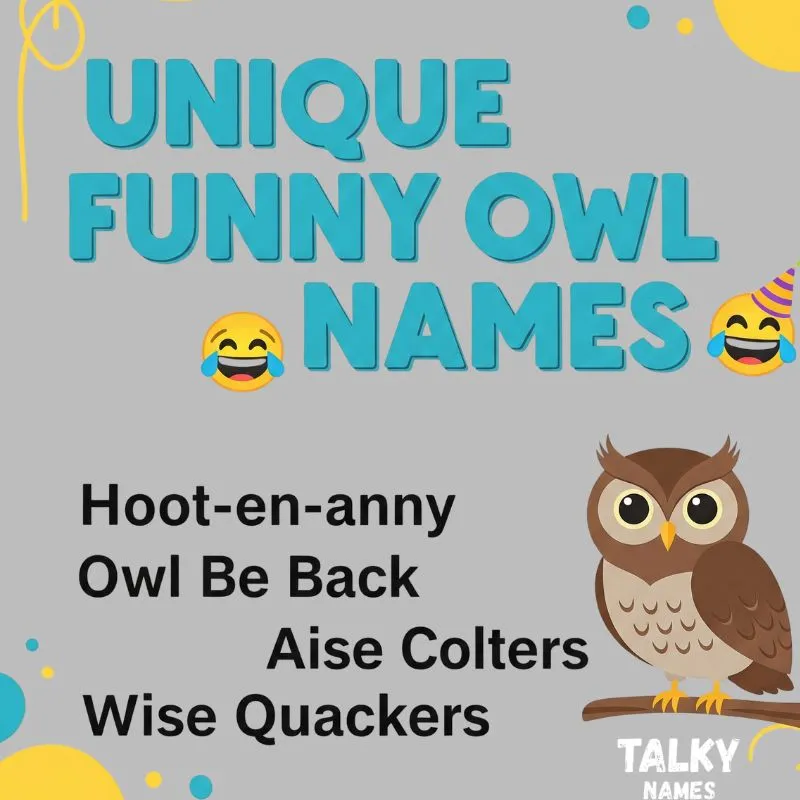 A collection of unique owl names displayed creatively on a colorful background.