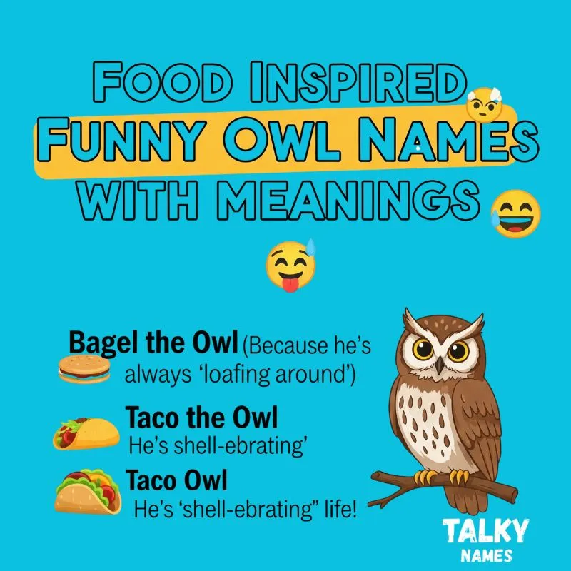 A graphic featuring humorous owl names inspired by food, each accompanied by their playful meanings.