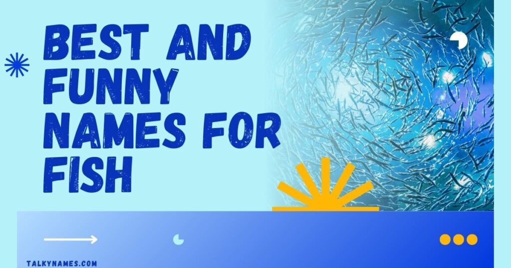 Best and Funny Names for Fish