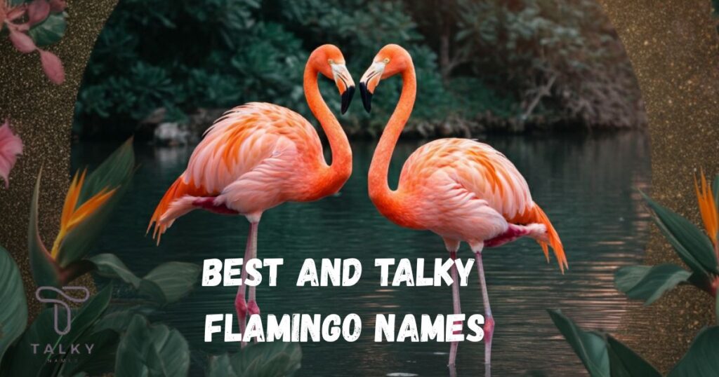 Best and Talky Flamingo Names