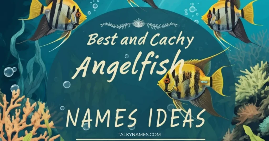 Best and Catchy Angelfish Names Ideas