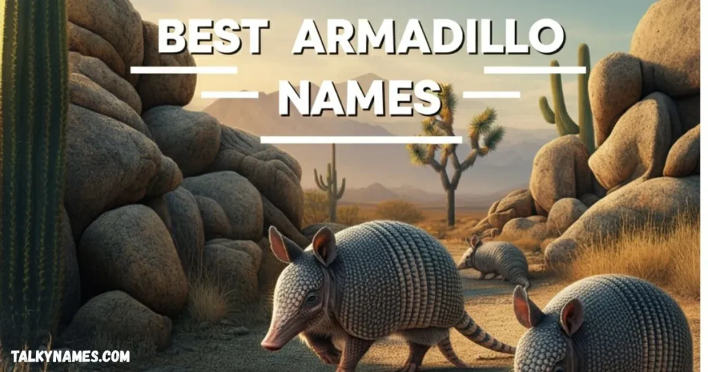 Best Armadillo Names