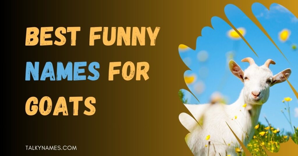 Best Funny Names For Goats