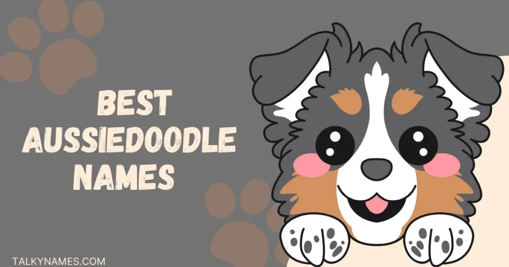 A list of creative and popular Aussiedoodles Names, showcasing unique options for pet owners.