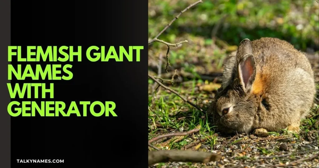 Flemish Giant Names With Generator