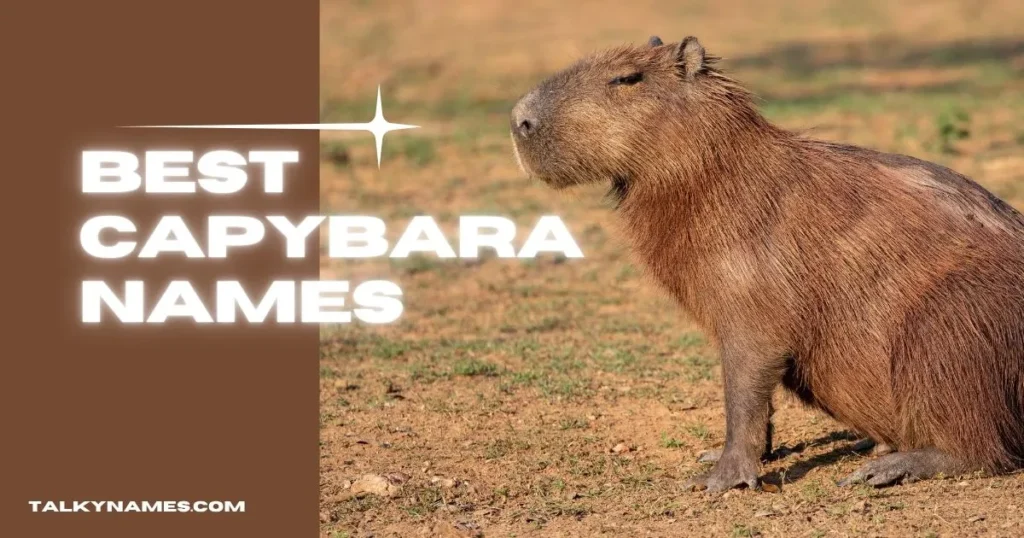 Best Capybara Names With Generator