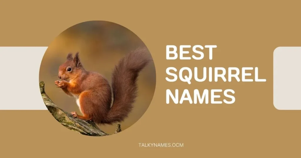 Best Squirrel Names with Generator