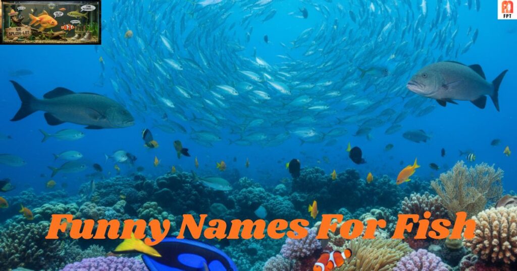 Funny Names For Fish