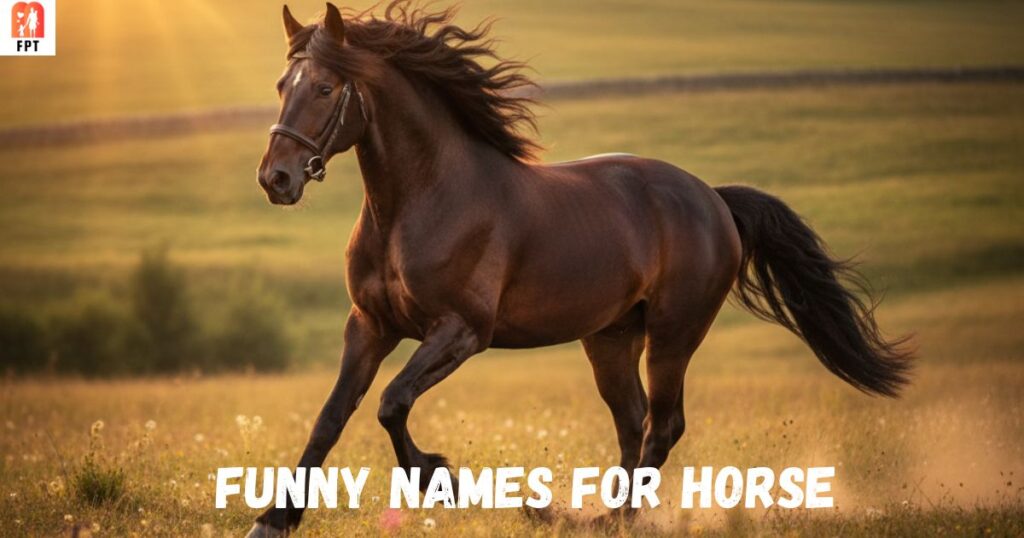 Funny Names For Horses: The Universe Of Funny Horse Monikers